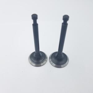 Szelep garnitúra Loncin 1P61FC 500550024-T040