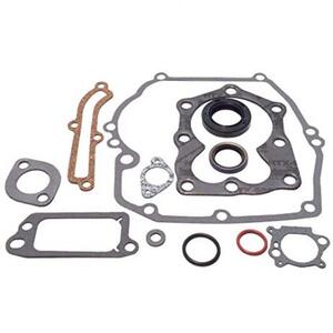 Tömítés készlet Briggs Quantum, 120H02 utángyártott US-480-024