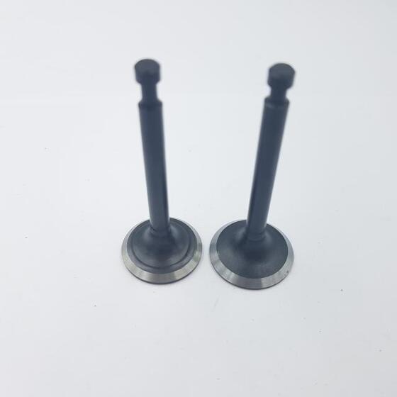 Szelep garnitúra Loncin 1P61FC 500550024-T040